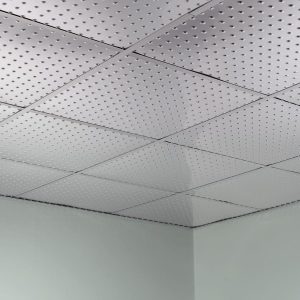 Fasade Ceiling Tile in Minidome